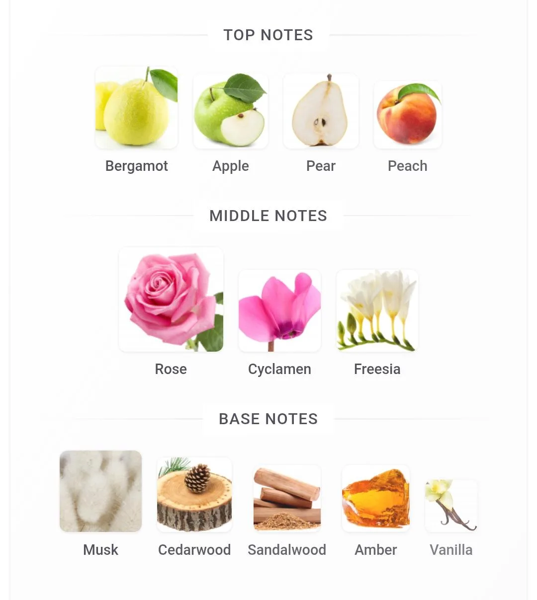 Musk Whisper — Perfume 20ml by ATTEEB MUFARRAH — image 2