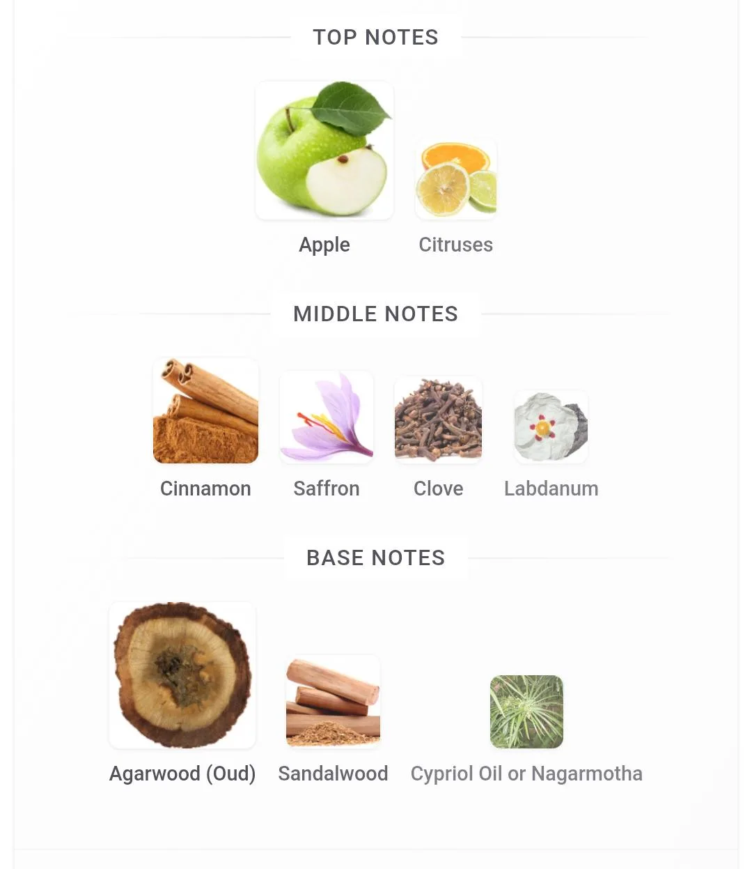 Oud Mystique — Perfume 20ml by ATTEEB MUFARRAH