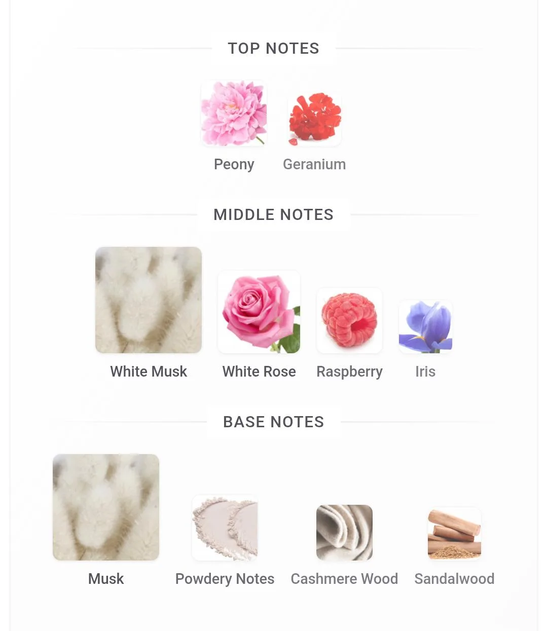 Musk Heritage — Perfume 20ml by ATTEEB MUFARRAH